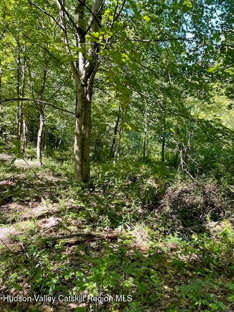 L-35 Off Harring Drive, Cairo