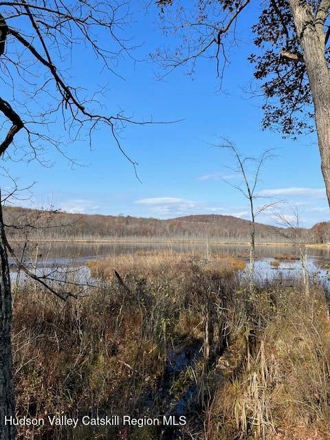 Tbd Lily Lake Road, Highland