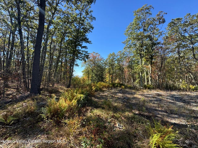 O Mercer Mountain Road, Canaan