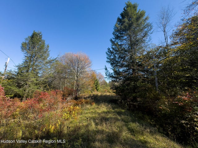 140 Schleiermacher Road, Livingston Manor