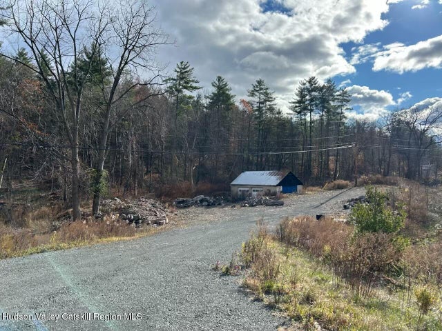 5485 Ny-212, Shandaken