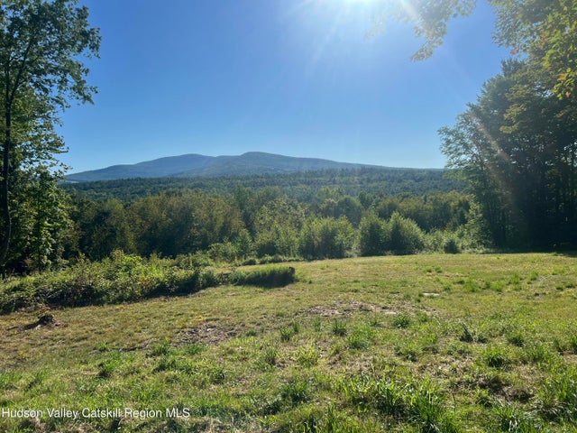 Blueberry Estate, Prattsville