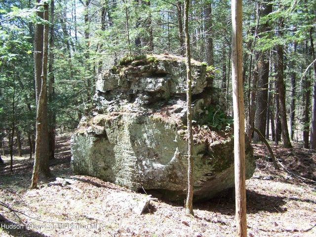 Tbd Buck Road, Stone Ridge