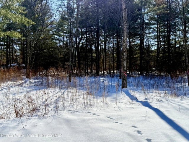 17 Tappan Zee Court, Athens