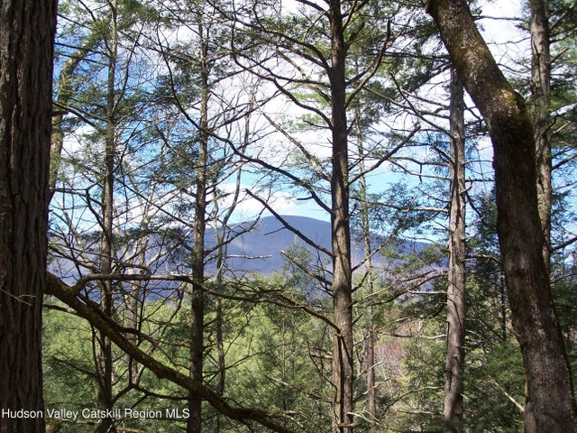 Lot 5 White Pine Lane, Saugerties