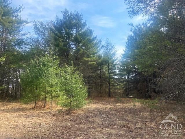 Cangiano Drive, Lexington