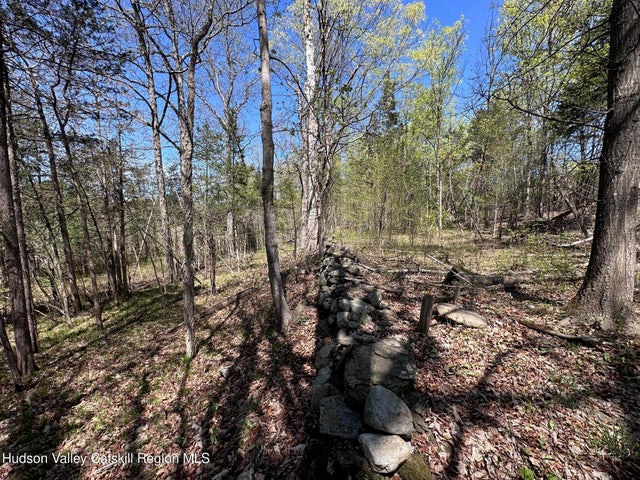 Tbd Peoples, Saugerties