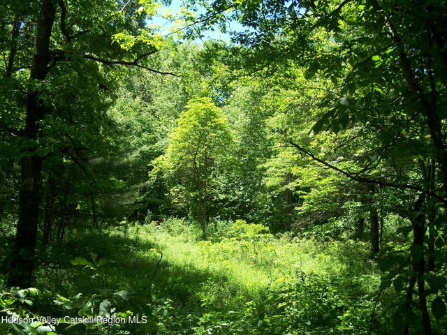 Tbd Van Nostrand Road, New Paltz