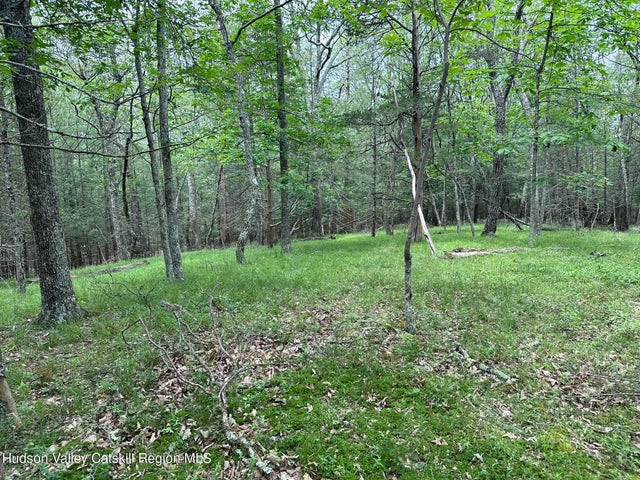 506 Rivka Road, Saugerties