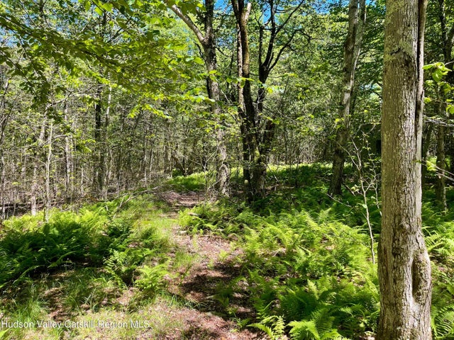 3045 Red Hill Road, Grahamsville