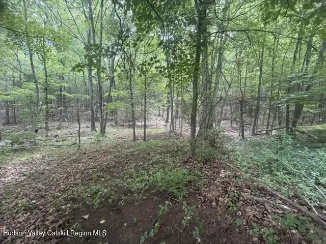Photo of Listing #20262845