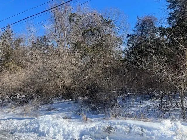 Photo of Listing #156097