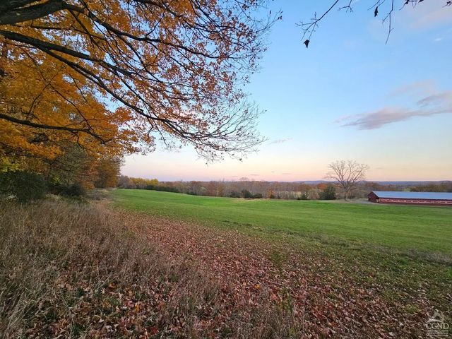 Photo of Listing #155146
