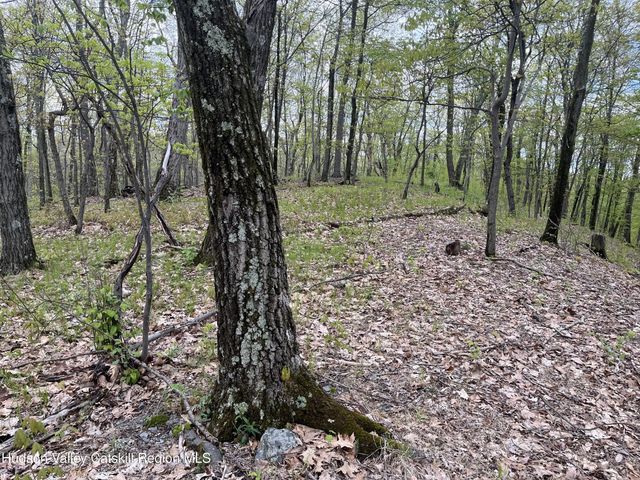 Photo of Listing #20262202