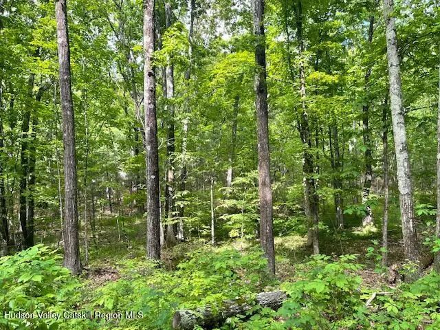 Photo of Listing #20262800