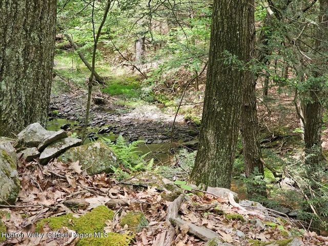Photo of Listing #20263499