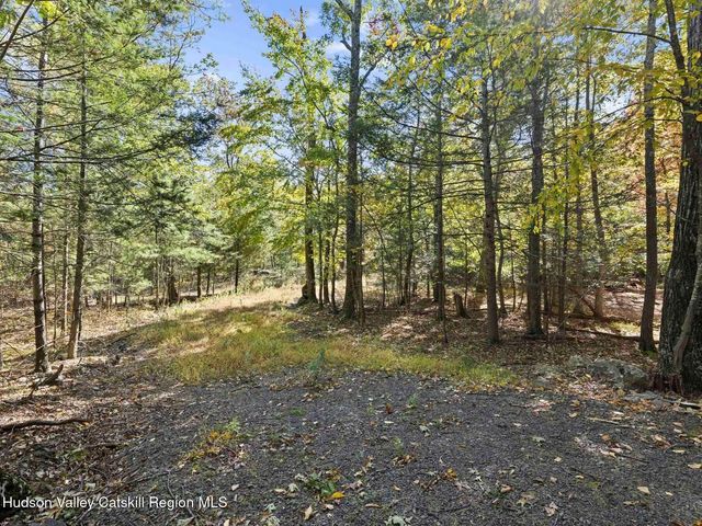 Photo of Listing #20266051