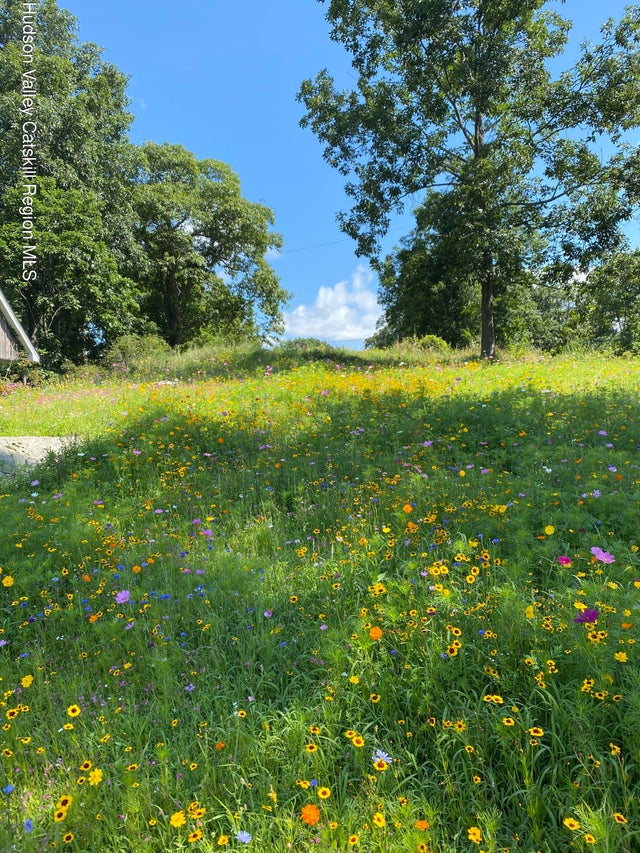 Photo of Listing #20250299