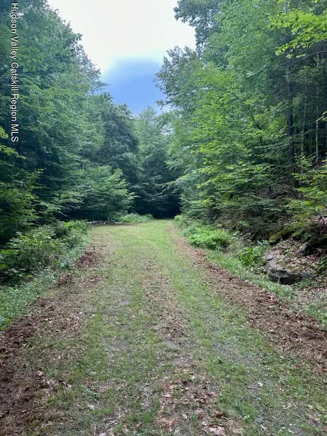 Photo of Listing #20250424