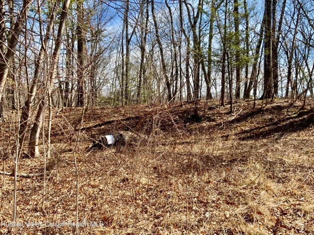 Photo of Listing #20250571