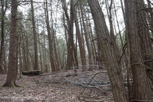 Photo of Listing #20250686