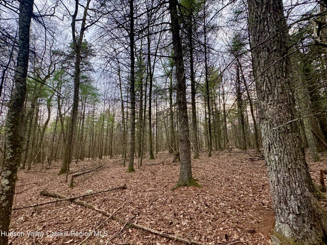 Photo of Listing #20250934