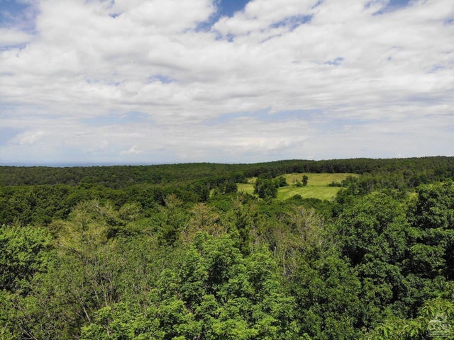 Photo of Listing #153134