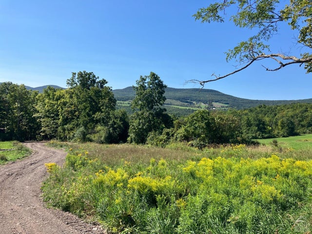 Photo of Listing #156625