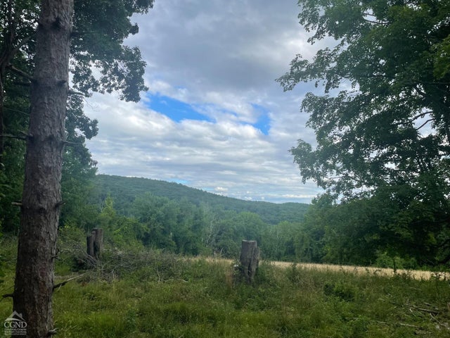 Photo of Listing #153560