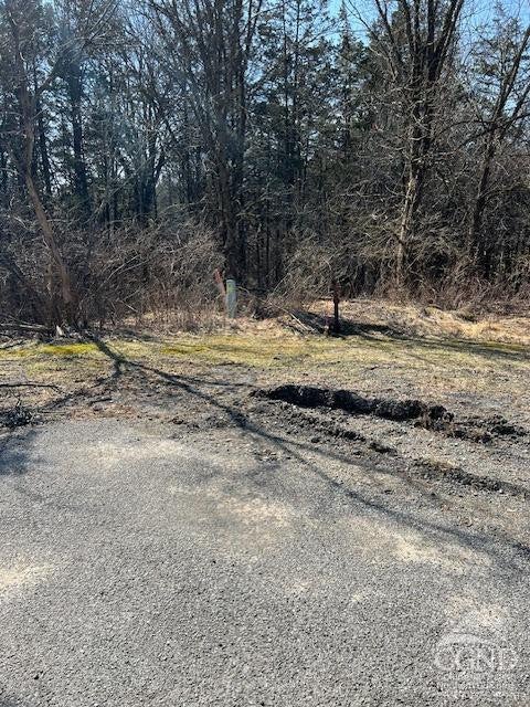 Photo of Listing #151861