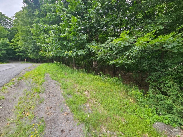 Photo of Listing #156239