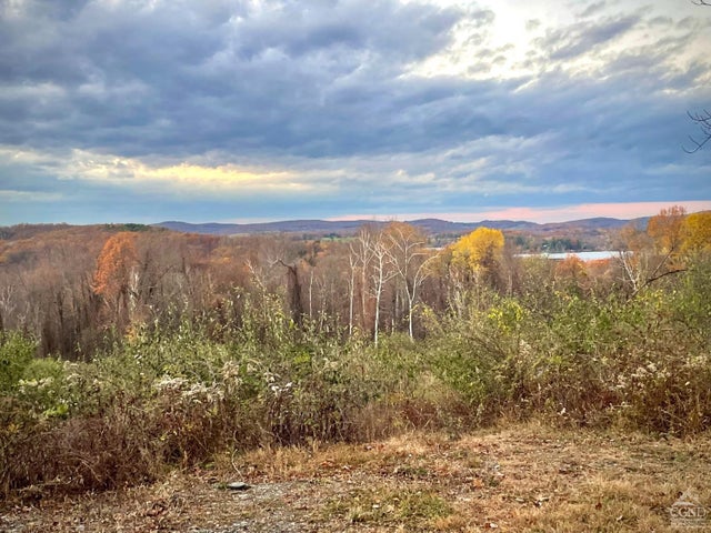 Photo of Listing #150864