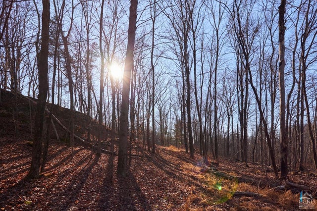 Photo of Listing #155823