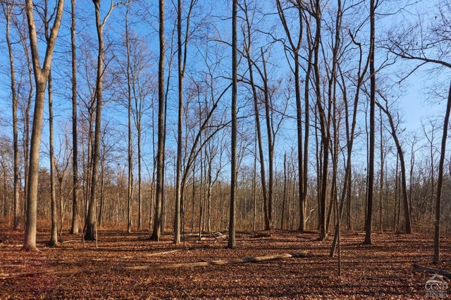 Photo of Listing #155842