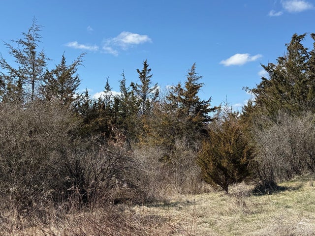 Photo of Listing #156398