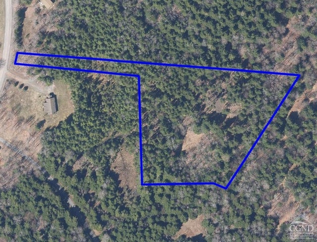 Photo of Listing #156734