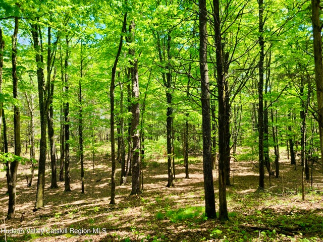 Photo of Listing #20251355