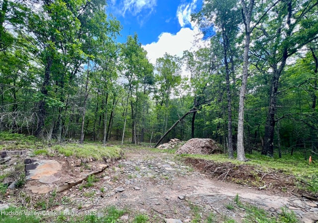 Photo of Listing #20251491