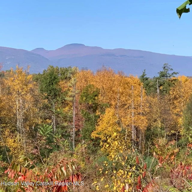 Photo of Listing #20251448