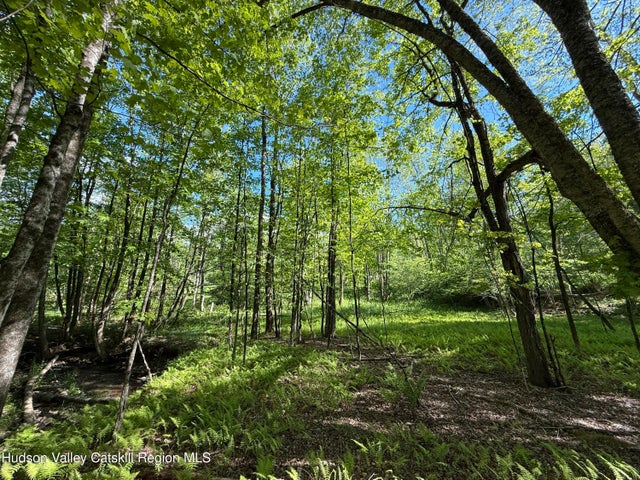 Photo of Listing #20251808