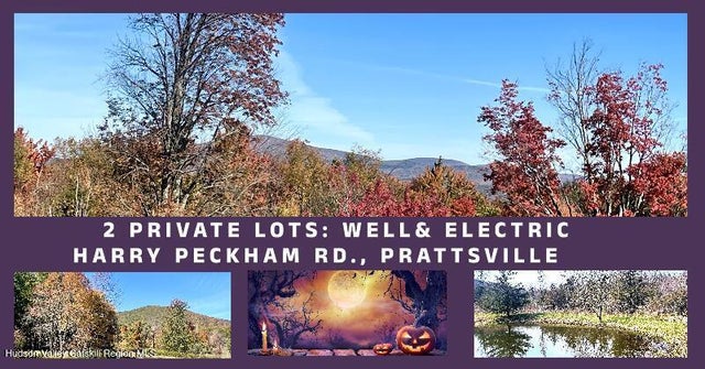 Photo of Listing #20251567