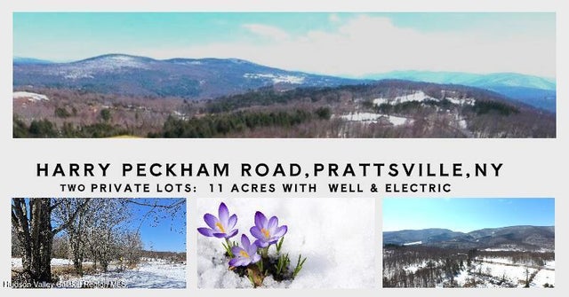 Photo of Listing #20251567