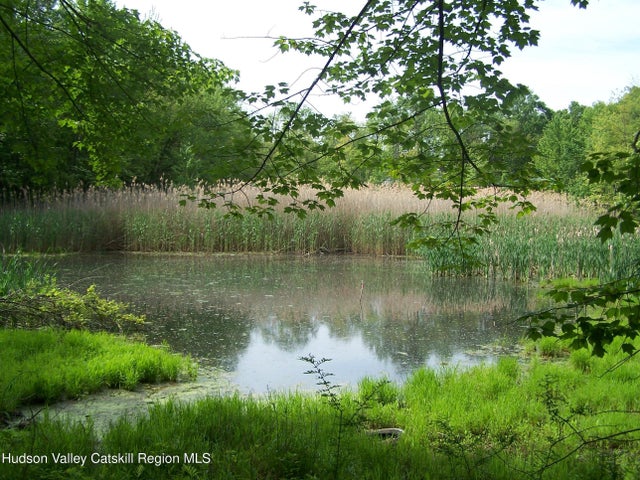 Photo of Listing #20251753