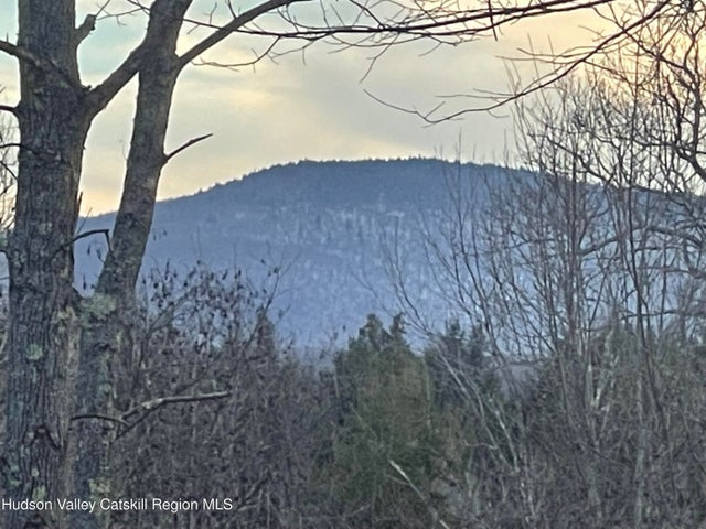 Photo of Listing #20251856