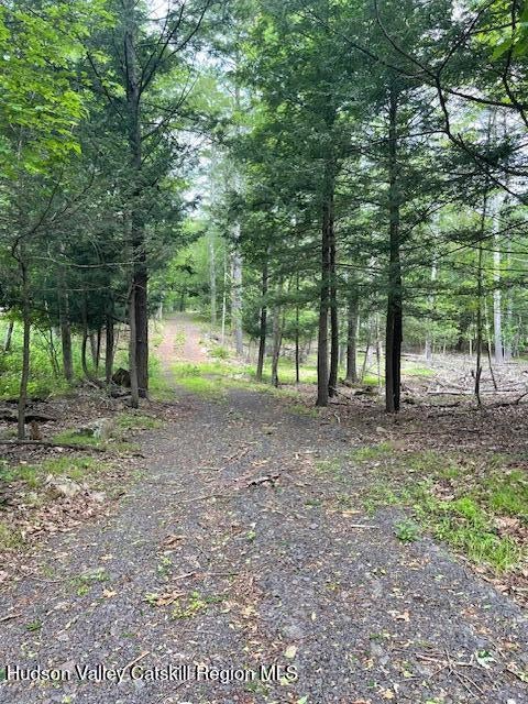 Photo of Listing #20252185