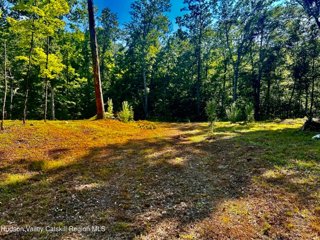 Photo of Listing #20252911