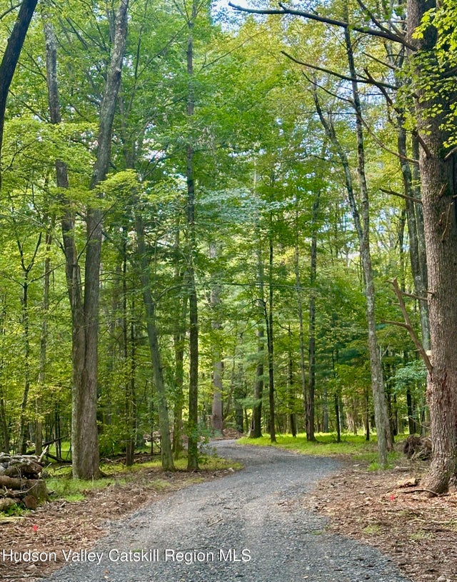 Photo of Listing #20252941