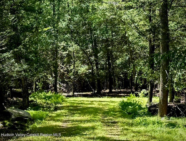 Photo of Listing #20253232