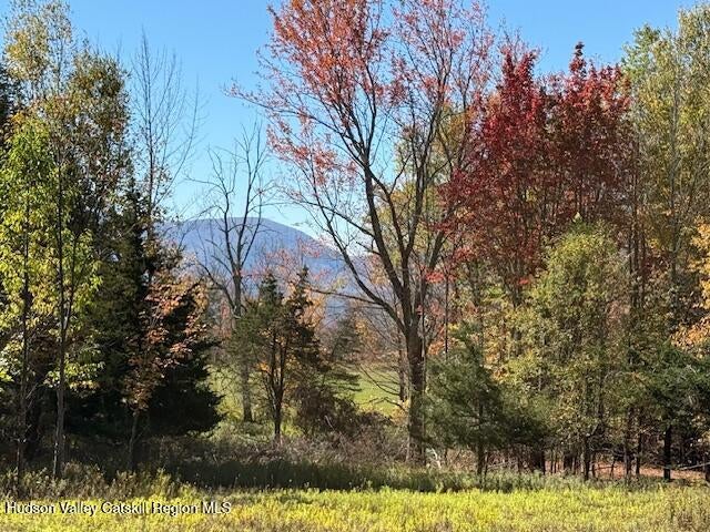 Photo of Listing #20253274