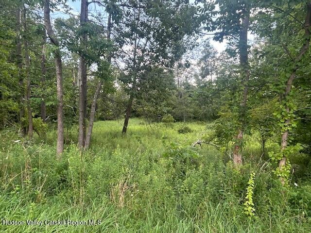 Photo of Listing #20253470